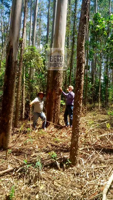 Foto 1 de Fazenda/Sítio à venda, 9800000m² em Area Rural de Sao Sebastiao, São Sebastião