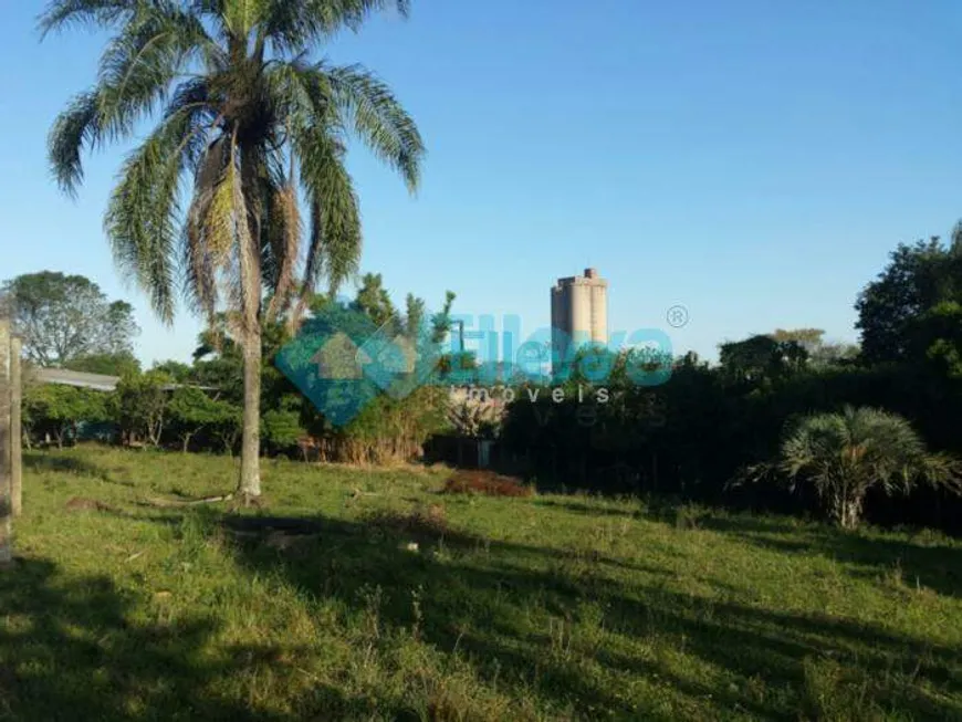 Foto 1 de Lote/Terreno à venda, 2400m² em Monte Belo, Gravataí