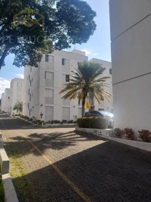 Foto 1 de Apartamento com 2 Quartos à venda, 57m² em Jardim Ipiranga, Campinas