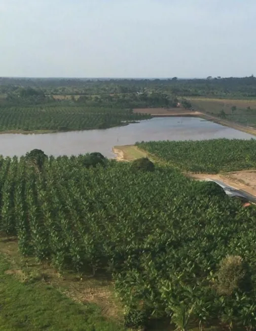 Foto 1 de Fazenda/Sítio à venda em , Penalva