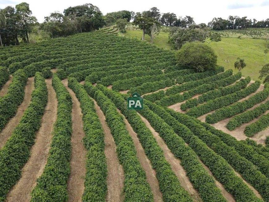 Foto 1 de Fazenda/Sítio com 1 Quarto à venda, 480000m² em , Bandeira do Sul