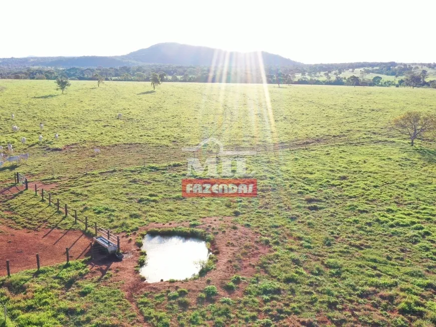 Foto 1 de Fazenda/Sítio à venda, 726m² em Zona Rural, Mara Rosa