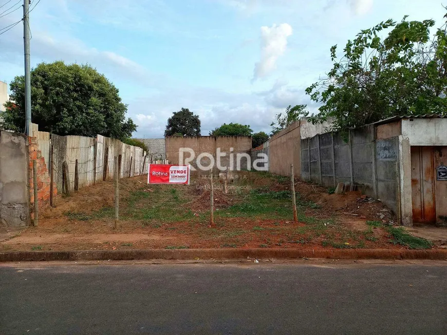 Foto 1 de Lote/Terreno à venda, 300m² em Shopping Park, Uberlândia