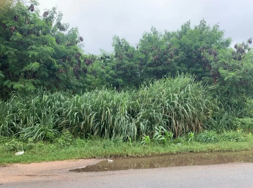 Foto 1 de Lote/Terreno à venda, 250m² em Palmeiras, Formiga