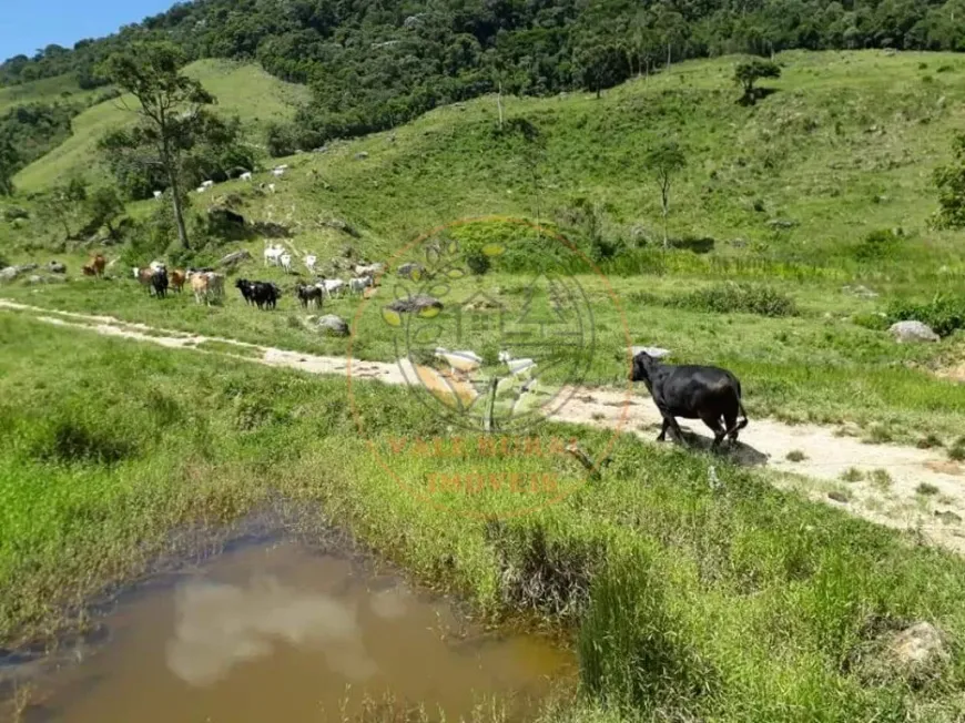 Foto 1 de Fazenda/Sítio com 2 Quartos à venda, 60m² em Centro, Macaé