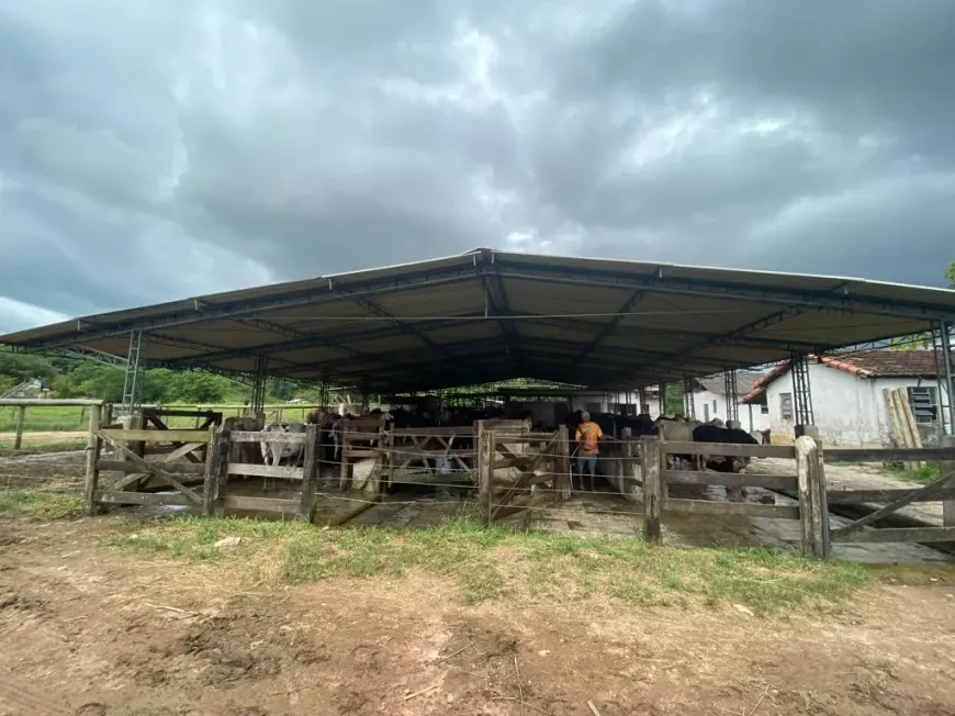 Foto 1 de Fazenda/Sítio à venda em Papucaia, Cachoeiras de Macacu