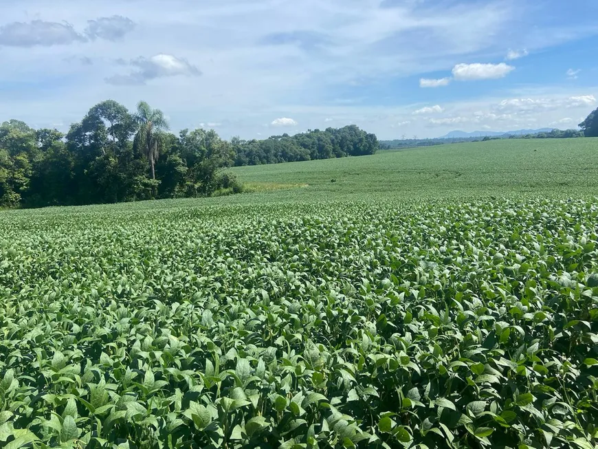 Foto 1 de Fazenda/Sítio com 1 Quarto à venda, 12000m² em Area Rural de Sao Jose dos Pinhais, São José dos Pinhais