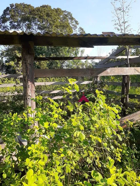 Foto 1 de Fazenda/Sítio com 1 Quarto à venda, 43463200m² em Zona Rural, Conceição do Tocantins