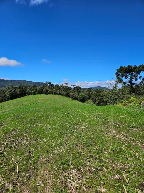 Foto 1 de Fazenda/Sítio à venda, 20000m² em , Urubici