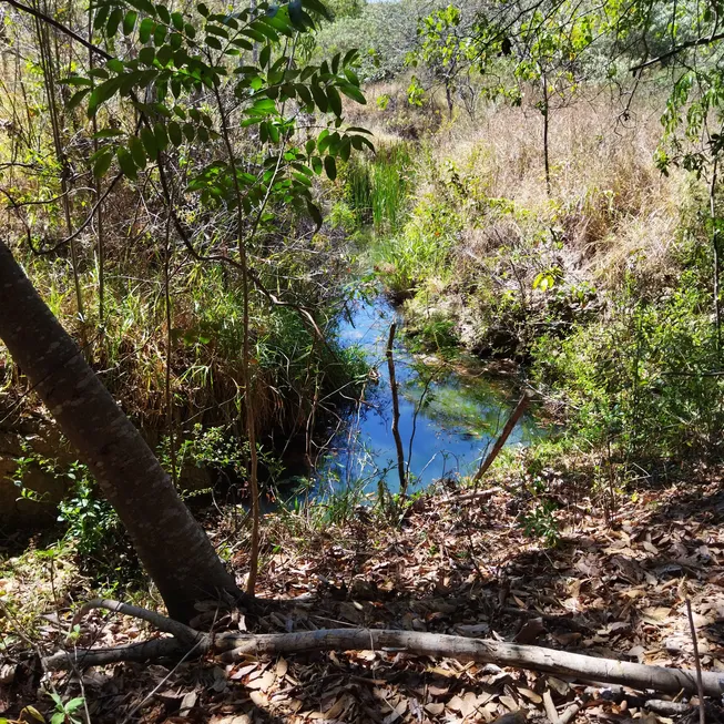 Foto 1 de Lote/Terreno à venda, 20000m² em Curralinho, Jaboticatubas