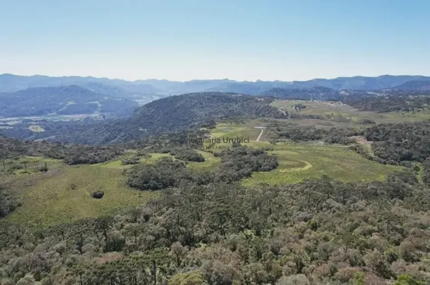 Foto 1 de Fazenda/Sítio à venda em Santa Tereza, Urubici