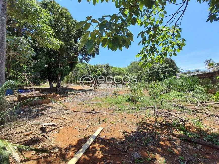 Foto 1 de Lote/Terreno à venda, 5000m² em Mansões Aeroporto, Uberlândia