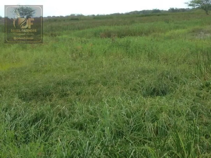 Foto 1 de Fazenda/Sítio com 3 Quartos à venda, 25000m² em Centro, Ceará Mirim