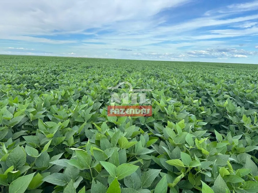 Foto 1 de Fazenda/Sítio à venda, 8150m² em Zona Rural, São Desidério