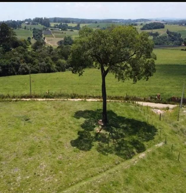 Foto 1 de Lote/Terreno à venda, 8000m² em PORTO FELIZ, Porto Feliz