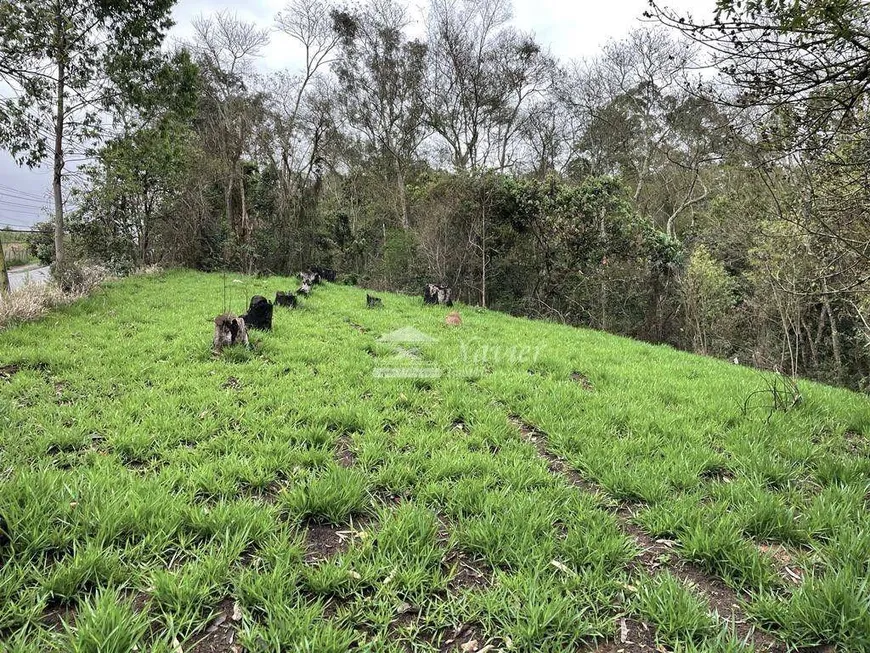 Foto 1 de Lote/Terreno à venda, 242m² em Quinta dos Angicos, Cotia