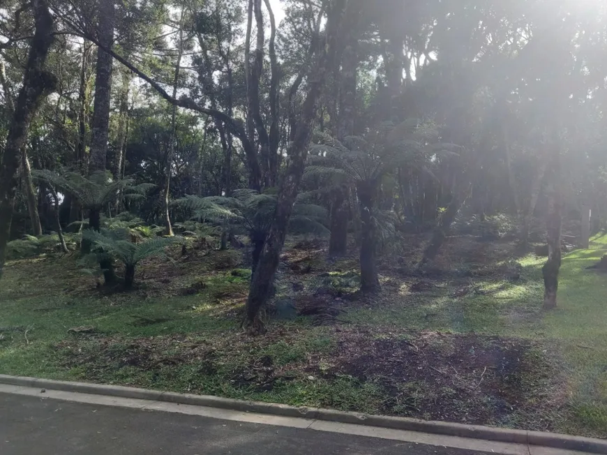 Foto 1 de Lote/Terreno à venda, 2358m² em Mato Queimado, Gramado