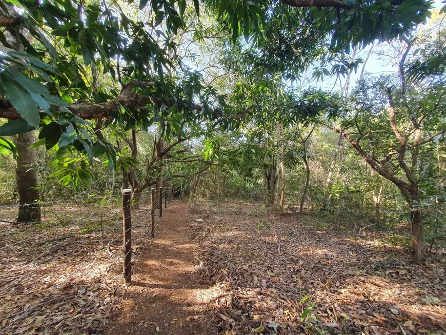 Foto 1 de Fazenda/Sítio com 1 Quarto à venda, 5000m² em , Abadia de Goiás