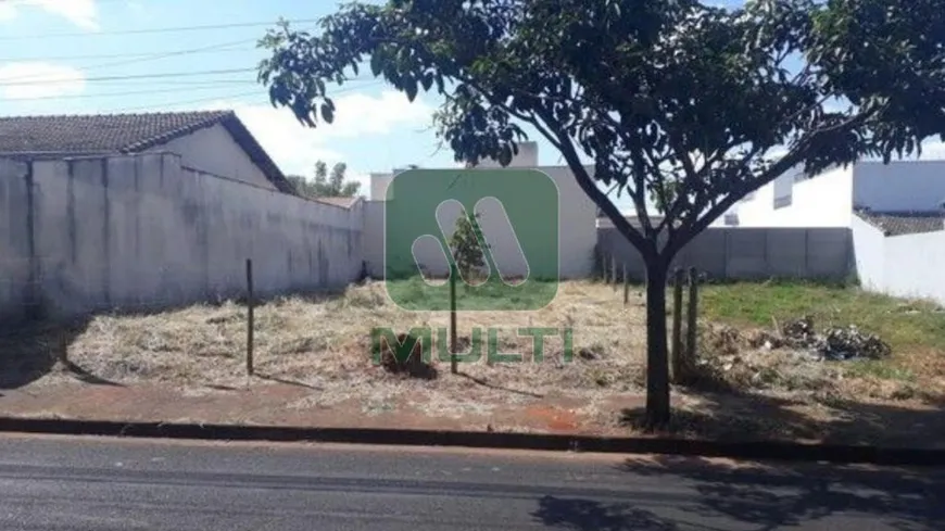 Foto 1 de Lote/Terreno com 1 Quarto à venda, 250m² em Alto Umuarama, Uberlândia