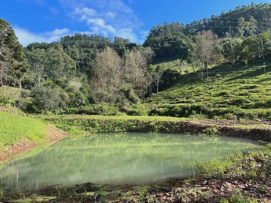 Foto 1 de Fazenda/Sítio com 3 Quartos à venda, 200m² em Aguas Mornas, Santo Amaro da Imperatriz