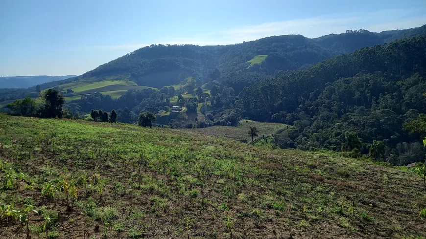 Foto 1 de Fazenda/Sítio à venda, 40000m² em Centro, Alfredo Wagner