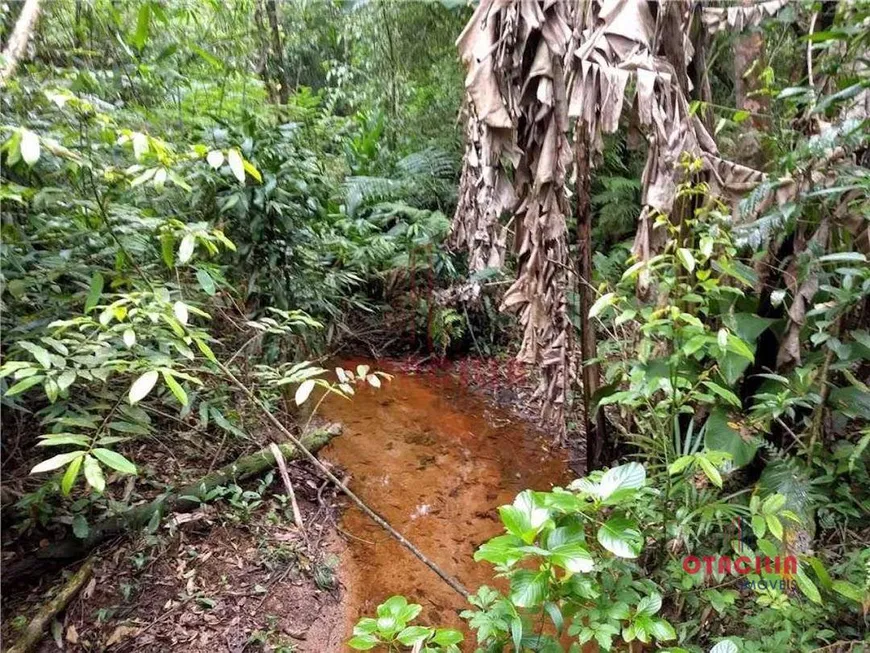 Foto 1 de Fazenda/Sítio com 1 Quarto à venda, 4000m² em Curucutu, São Bernardo do Campo