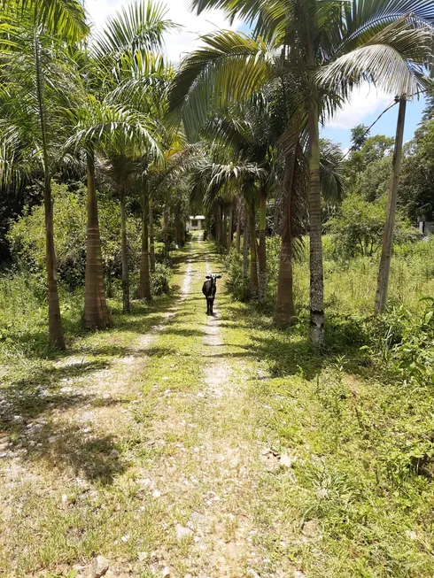 Foto 1 de Fazenda/Sítio com 3 Quartos à venda, 200m² em Registro, Taubaté