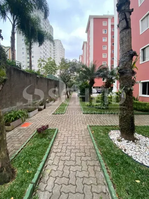 Foto 1 de Apartamento com 3 Quartos à venda, 70m² em Jardim Sabará, São Paulo
