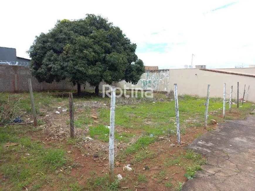 Foto 1 de para alugar, 600m² em Pampulha, Uberlândia