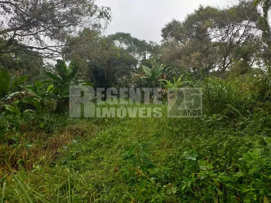 Foto 1 de Lote/Terreno à venda, 381m² em Pantanal, Florianópolis