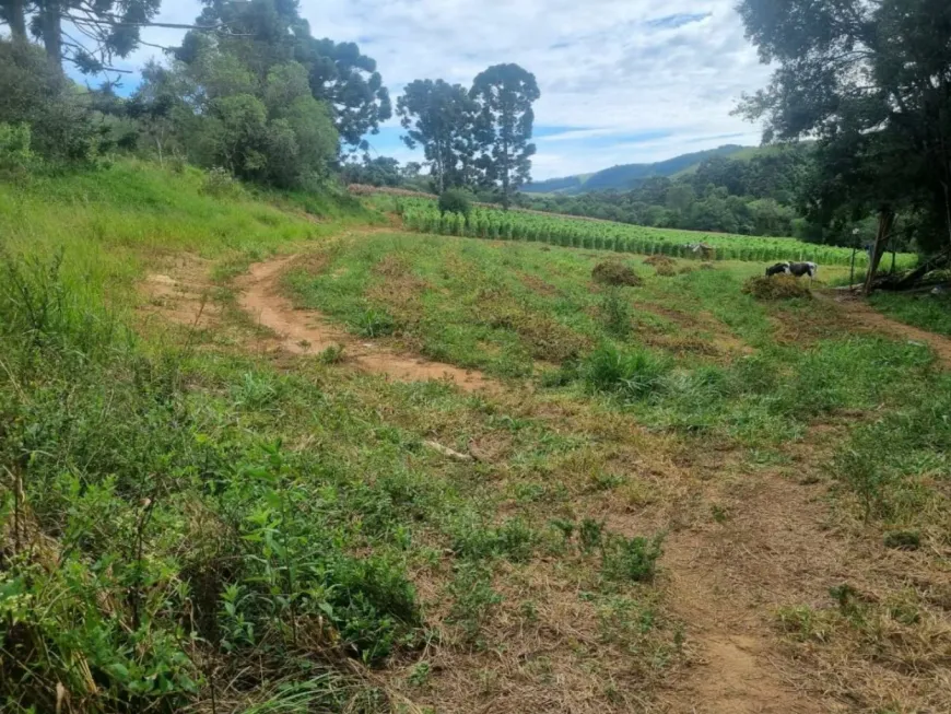 Foto 1 de Lote/Terreno à venda, 25000m² em Zona Rural, Munhoz