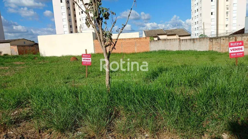 Foto 1 de Lote/Terreno à venda, 250m² em Jardim Holanda, Uberlândia