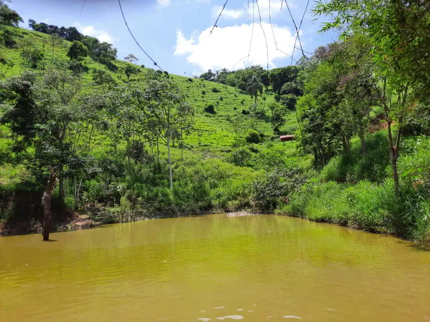 Foto 1 de Fazenda/Sítio com 3 Quartos à venda, 200m² em Angola, Santa Branca