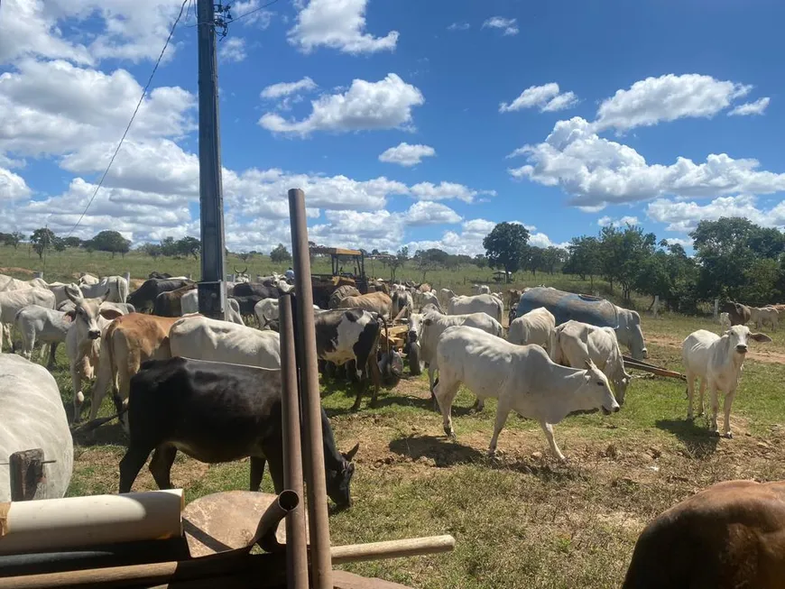 Foto 1 de Fazenda/Sítio à venda em Bairro Centro, Unaí