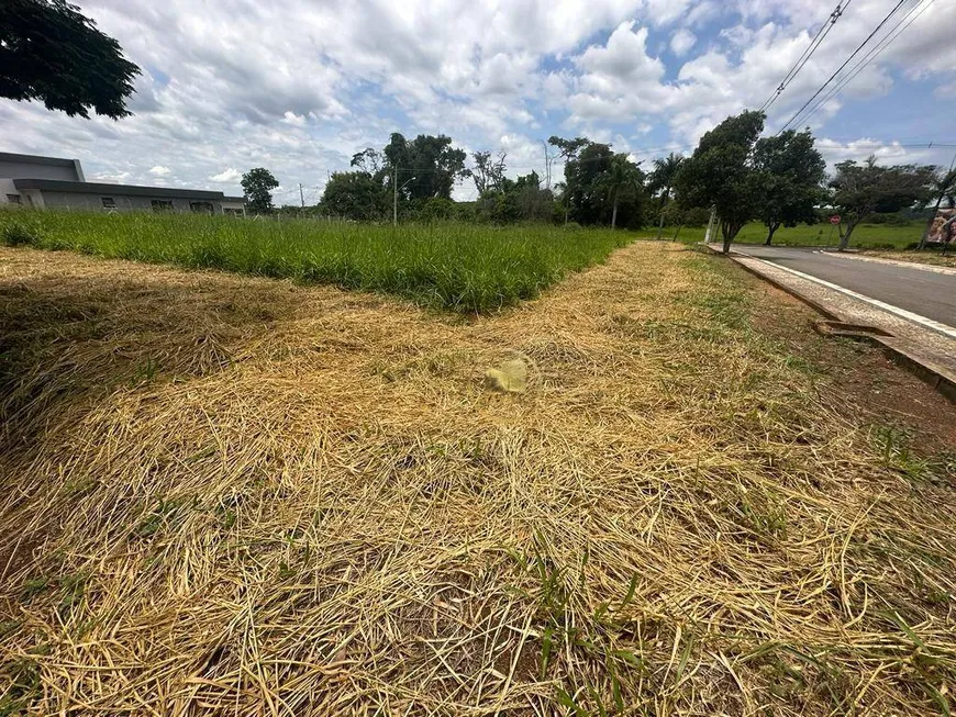 Foto 1 de Lote/Terreno à venda, 1000m² em Anel, Lagoa Santa