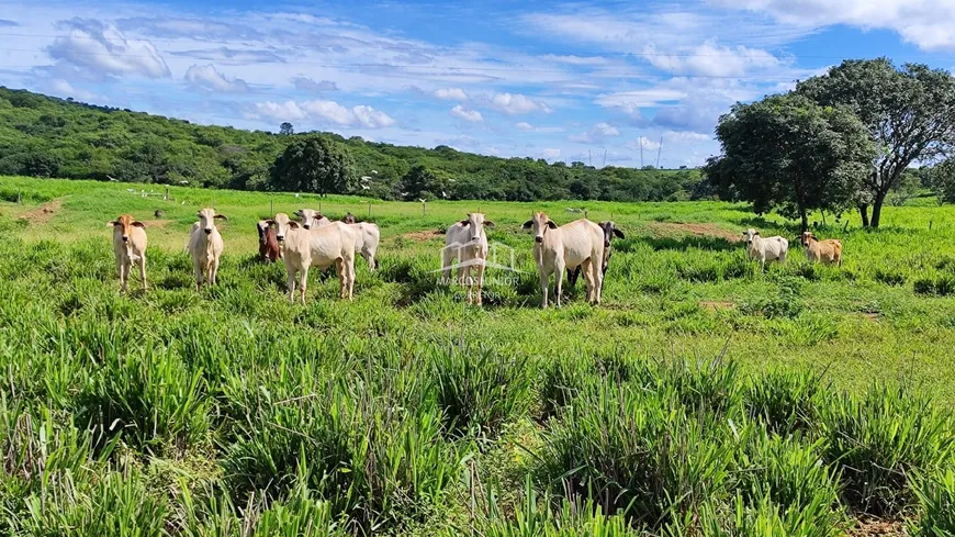 Foto 1 de Fazenda/Sítio com 2 Quartos à venda, 720000m² em Zona Rural, Francisco Sá