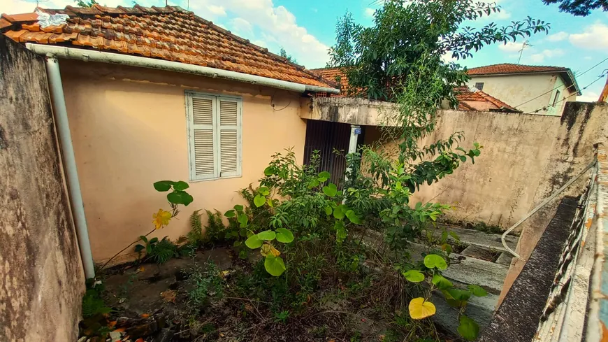 Foto 1 de Lote/Terreno à venda, 350m² em Vila Albertina, São Paulo