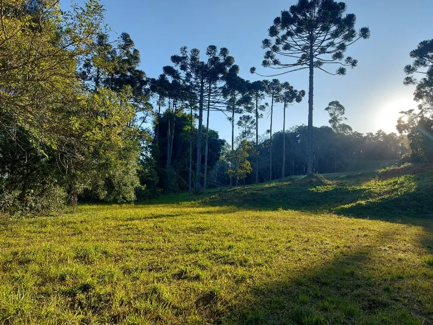 Foto 1 de Lote/Terreno à venda, 1060m² em Vila Conceicao, Campo Largo