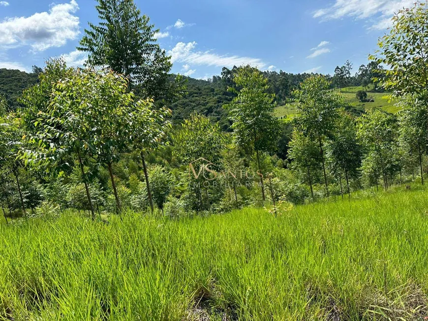 Foto 1 de Fazenda/Sítio à venda, 330000m² em Aratingauba, Imaruí