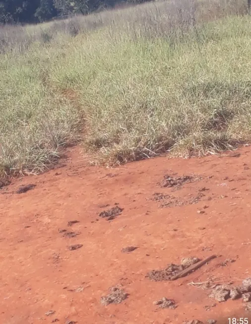 Foto 1 de Fazenda/Sítio à venda em Centro, Jussara