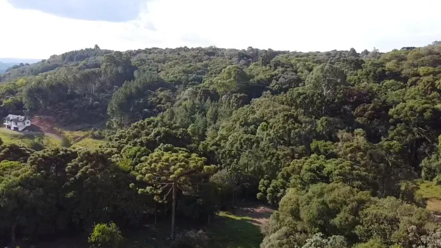 Foto 1 de Lote/Terreno à venda, 10000m² em Linha Bonita, Gramado