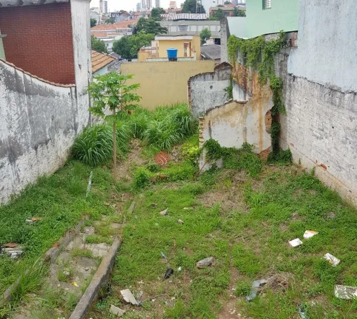 Foto 1 de Lote/Terreno à venda, 170m² em Vila Carrão, São Paulo