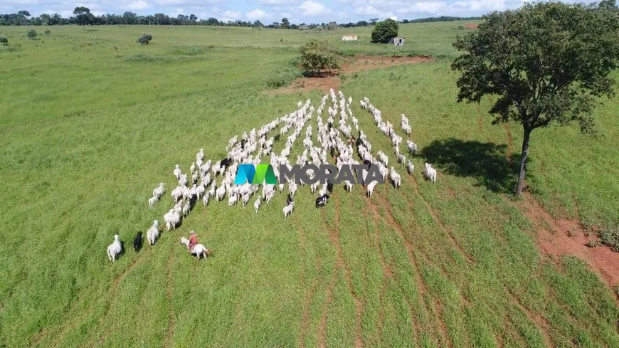 Foto 1 de Fazenda/Sítio com 1 Quarto à venda, 1114m² em Zona Rural, Montes Claros