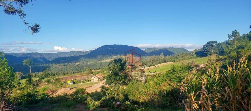 Foto 1 de Fazenda/Sítio à venda, 48000m² em Linha Araripe, Gramado