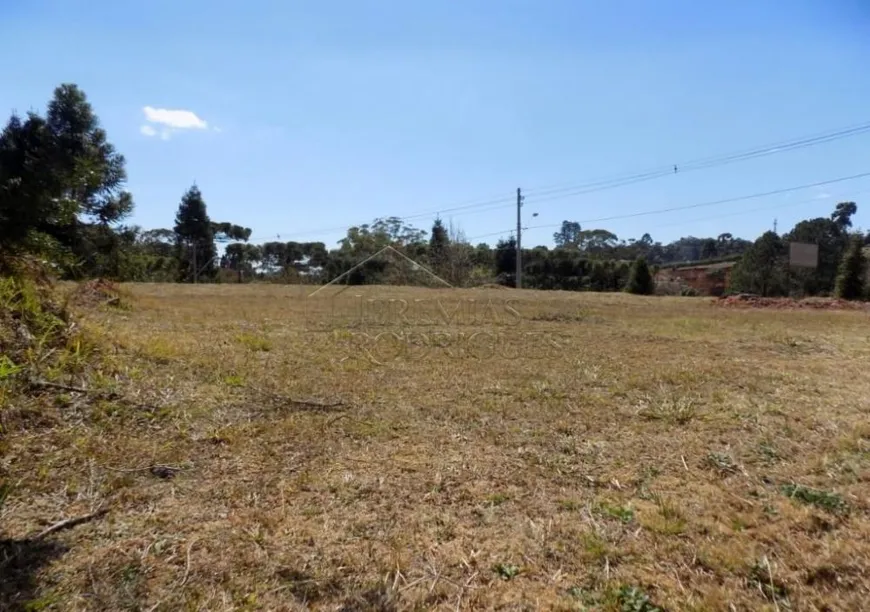 Foto 1 de Lote/Terreno à venda, 1192m² em Alto do Capivari, Campos do Jordão