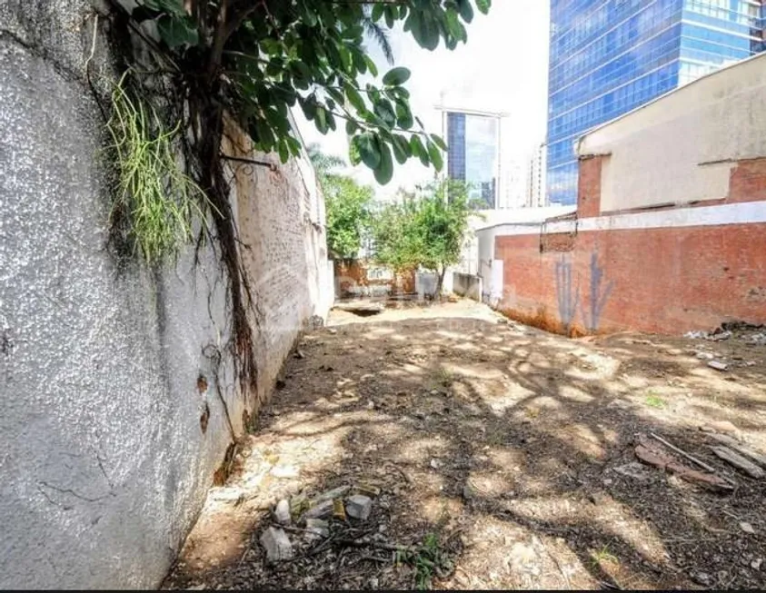 Foto 1 de Lote/Terreno para venda ou aluguel, 295m² em Cambuí, Campinas