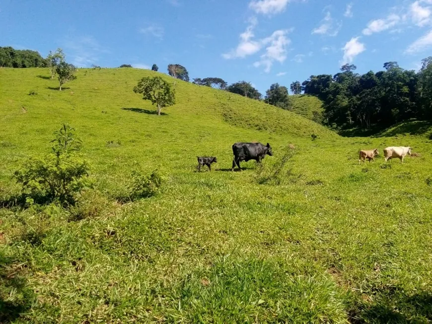 Foto 1 de Fazenda/Sítio à venda, 62470m² em , Caconde