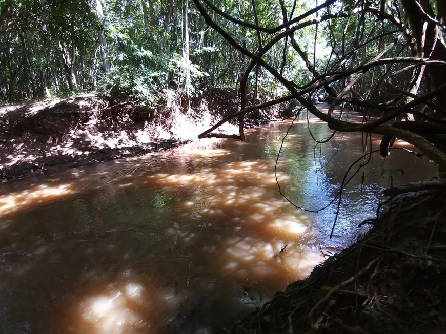 Foto 1 de Fazenda/Sítio com 3 Quartos à venda, 7700m² em Zona Rural, Petrolina de Goiás