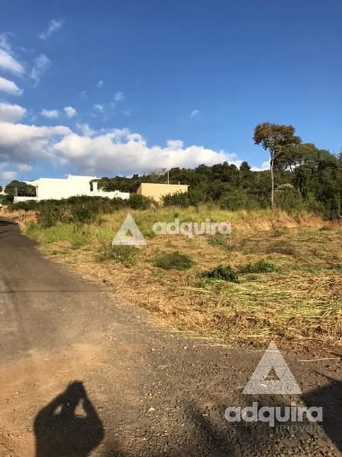 Foto 1 de Lote/Terreno à venda, 10m² em Estrela, Ponta Grossa