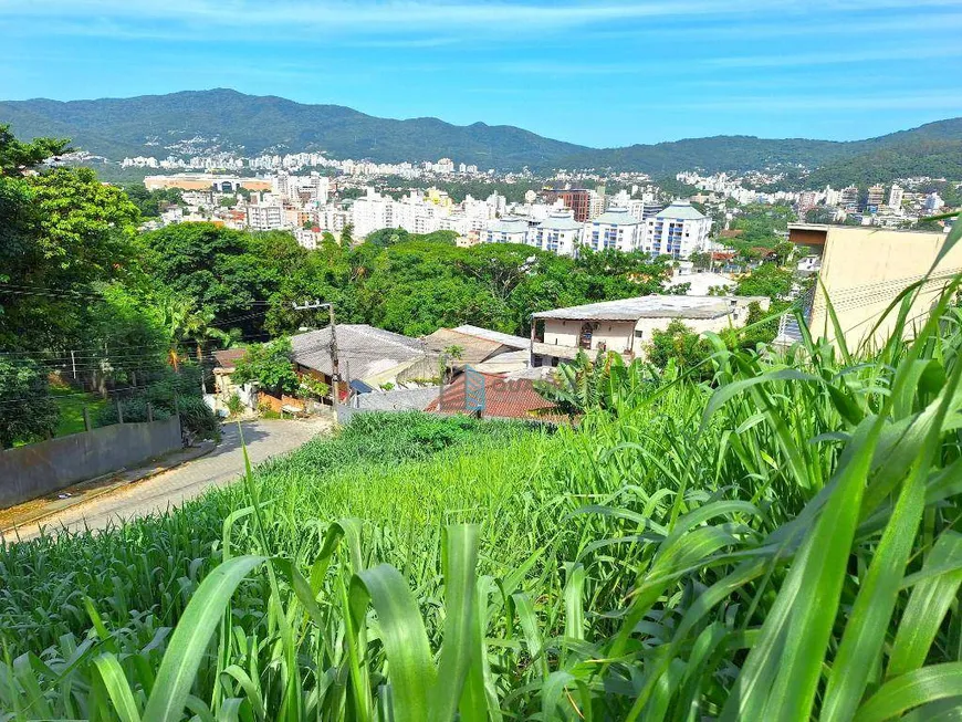 Foto 1 de Lote/Terreno à venda, 650m² em Carvoeira, Florianópolis